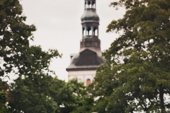 DSC_2901ps